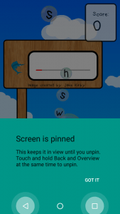 Step 3: Pin the screen